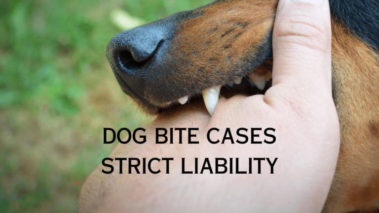 Dog bite cases require special understanding of insurances and liability. Do not wait to get an attorney because there are important steps to protect your injury case. Witt Law Group Attorney Ryan Witt Attorney Jennifer Witt