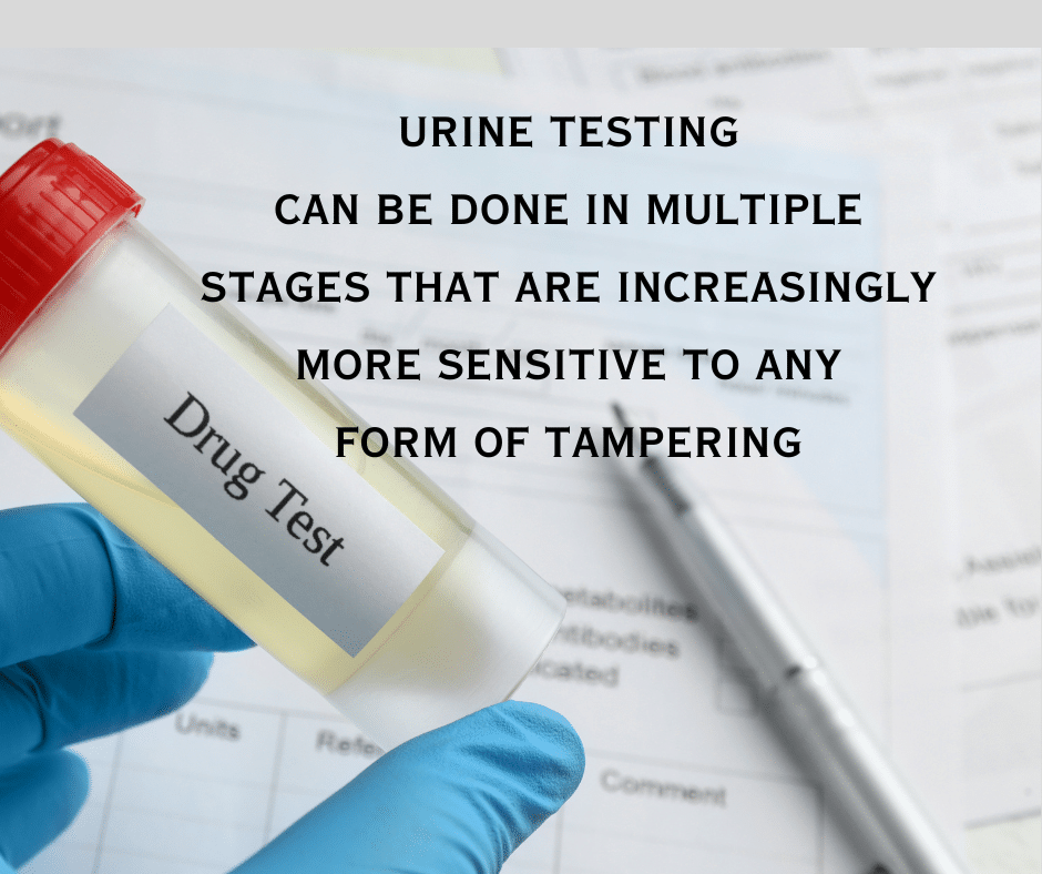 "Pee tests" or urinalysis (UAs) are very sensitive when conducted for a criminal case such as a DUI / DWI chemical dependency evaluation. If you try to trick the urine test, the treatment agency will count it as a positive. 
DUI & Criminal Defense law firm Witt Law Group PS
Attorney Ryan Witt
Attorney Jennifer Witt